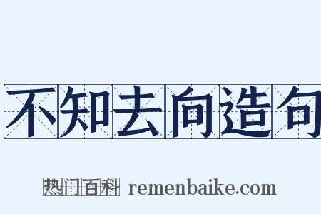 不知去向造句是什么意思的图片